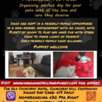 Wagging Tails and Purrs